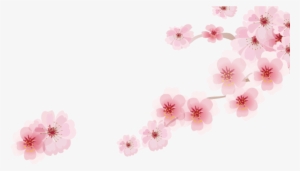 Cherry Blossom Cartoon Romantic Sakura Japanese Cartoon - Cherry Blossom #1329827