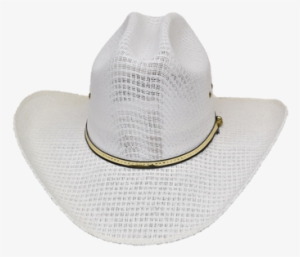 Cowboy Hat #1330177