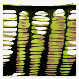 Https - //i - Imgur - Com/gglaj4c - Wwe Jeff Hardy Arm Bands Wwe 2k18 #1332314