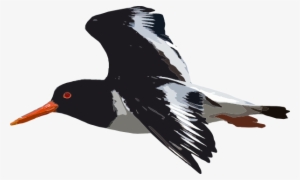 Black Bird Flying Svg Clip Arts 600 X 360 Px #1332549