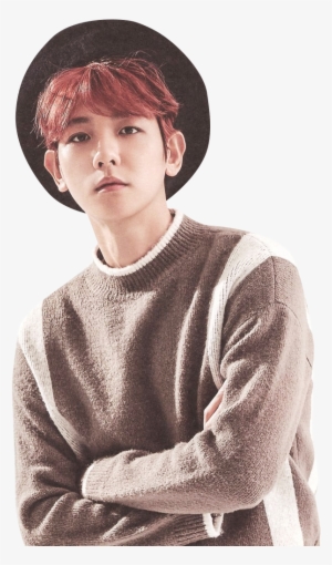 Exo Season's Greetings 2017 Baekhyun #1333061