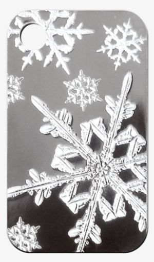 Silver Snow Flakes - Snow #1334966