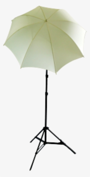 Cowboystudio Photo And Video Studio Umbrella Continuous #1335841