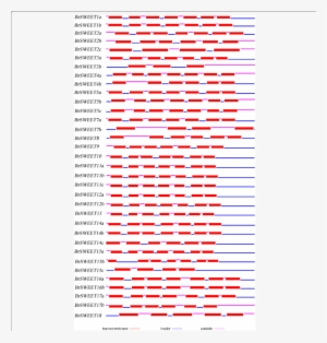 Protein Structure Of Mtn3/saliva/sweets In B - Mario Series #1336468
