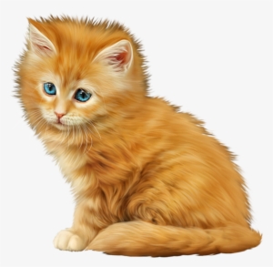 Share This Image - Cat #1336726