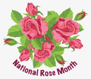 Non Surgical Nose Job Before #1338413