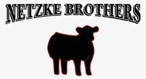 Netzke Brothers Cattle Winners - Show Cattle Clip Art #1338450