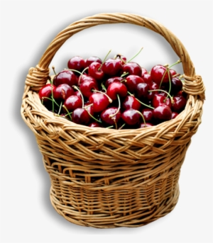 Cherry Basket Png Clipart - Kosár Meggy #1339029