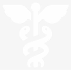 Customer Success Story - Healthcare Icon White #1339245