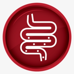 Particularly After The Administration Of Antibiotics, - Digestion #1339422