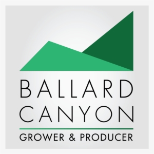 Grower Producer Bcava-01 - Ballard Canyon Road #1340031