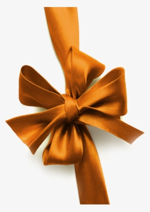 The Plaza Gift Vouchers - Gift Voucher Ribbon Png #1340949