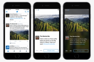 The Twitter Audience Platform Automatically Transforms - Twitter Audience Platform Example #1341135