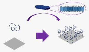 Reserchers Roll Out New Method For Making The Invisible #1342369