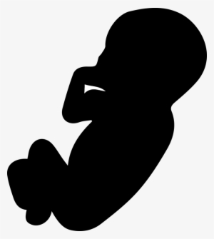 The Fruit, The Embryo, Pregnancy, Pregnant, Mother - Embriyo Png #1342446