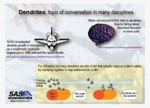More - Right Brain Oval Ornament #1342511