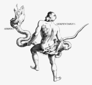 Thirteenth Zodiac Sign Ophiuchus Reintroduced - Serpent Priest #1342689