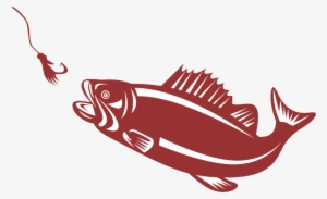 Largemouth Bass Fly Fishing For Beginners - Bass Fish Png #1343042