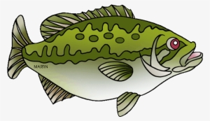 Image Free Bass Fishing Clipart - Ky Spotted Bass Fish #1343063