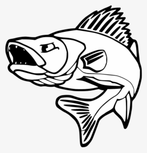 Vector Free Download At Getdrawings Com Free For Personal - Walleye Fishing #1343195