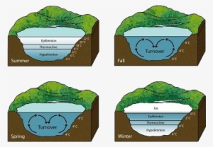 Lake Turnovere National Geographic Jpg - Do Fish Survive In Frozen Lakes #1343222