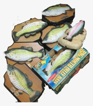 Fish - Illustration #1343491