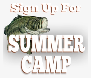 Close - - Cafepress Large Mouth Bass Tile Coaster #1343591