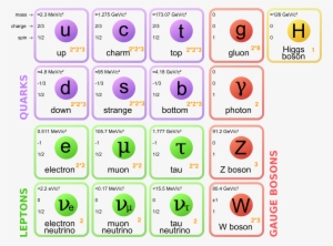 Images/standard Model Of Elementary Particles - Standard Model Of Particle Physics #1343673