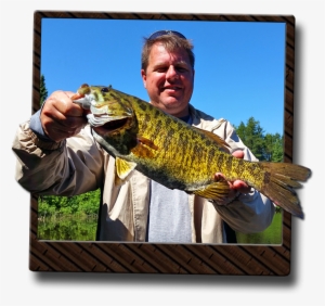 Ontario Smallmouth Bass Fishing - Ontario #1343722