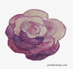 Free Handmade Watercolor Rose Clipart - Floribunda #1343826