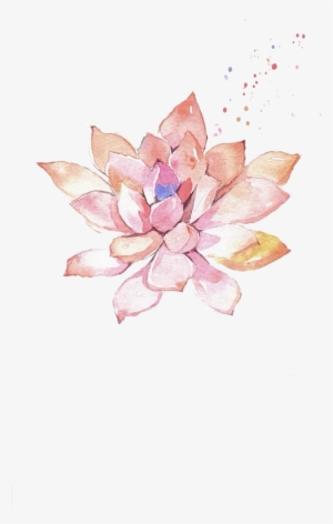Real Flowers Png - Sacred Lotus #1343907