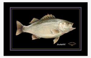 Work Of Art #1344070