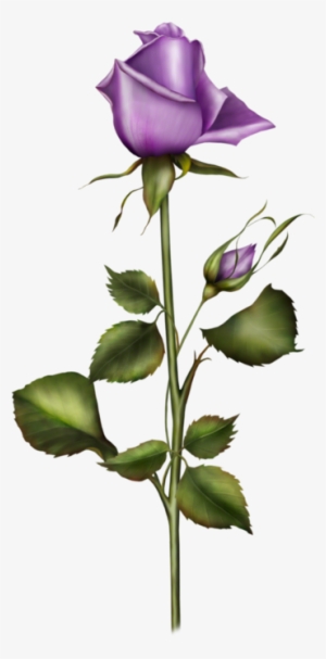 Tubes Fleurs - Flower #1344122