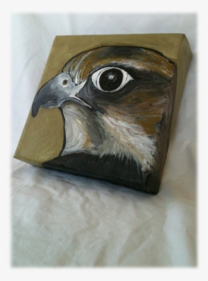 Peregrine Falcon - Painting #1344325