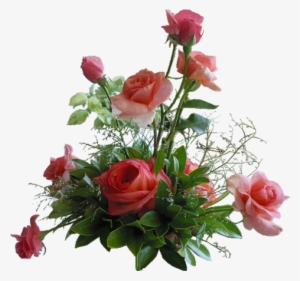 * Rose Red Flower* - Fleur D Amour 2017 #1344476