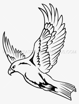 28 Collection Of Falcon Drawing Images - Clipart Of Flying Falcon #1344761