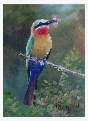 Birds Img - Bee Eater #1344837
