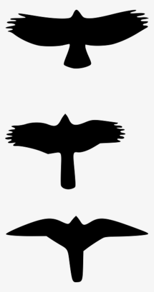 Original Png Clip Art File Sbuteo Accipter And Falcon #1345014