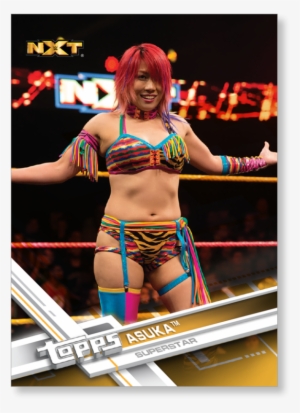 Close Zoom - 100 Random Wwe Trading Card Lot Featuring A Huge Variety #1345609