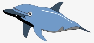 Common Bottlenose Dolphin Drawing Cetacea - Dolphin Clip Art #1345826