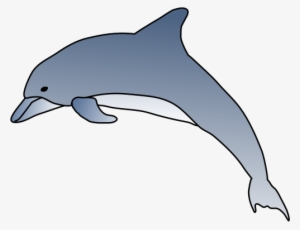 Drawn Dolphins Animation - Bottlenose Dolphin Drawings #1345868