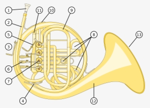 Open - French Horn #1346426