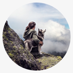 Training A Dog Can Be Hard, Annoying, And Frustrating - Travel With Dog In Mountain #1347648