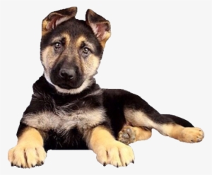 When All Else Fails We Won't - Library #1347714