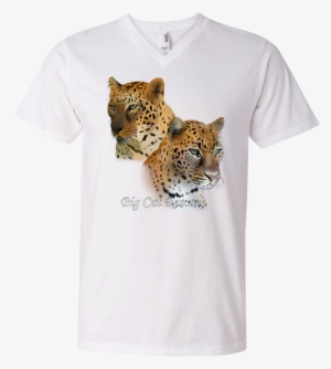 Bcr Jade And Armani Leopard Color 982 Anvil Men's Printed - T-shirt #1348006