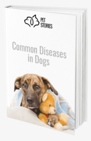 Dog Diseases Ebook - Dog #1348027