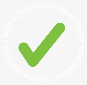 White Checkmark Transparent #1348631