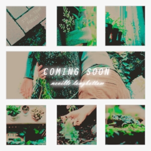 Mumu Rp Hp Rp Canon Rp Neville Longbottom Rp Tom Holland - Tree #1350637