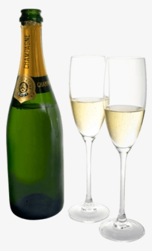 Champagne Two Glasses Bottle - Osabo | Cat Wine Stopper | Cat Lovers | Funny #1352736 Champagne Two Glasses Bottle - Osabo | Cat Wine Stopper | Cat Lovers | Funny #1352736