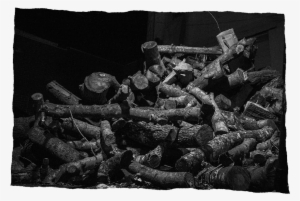 Step - Monochrome #1352951